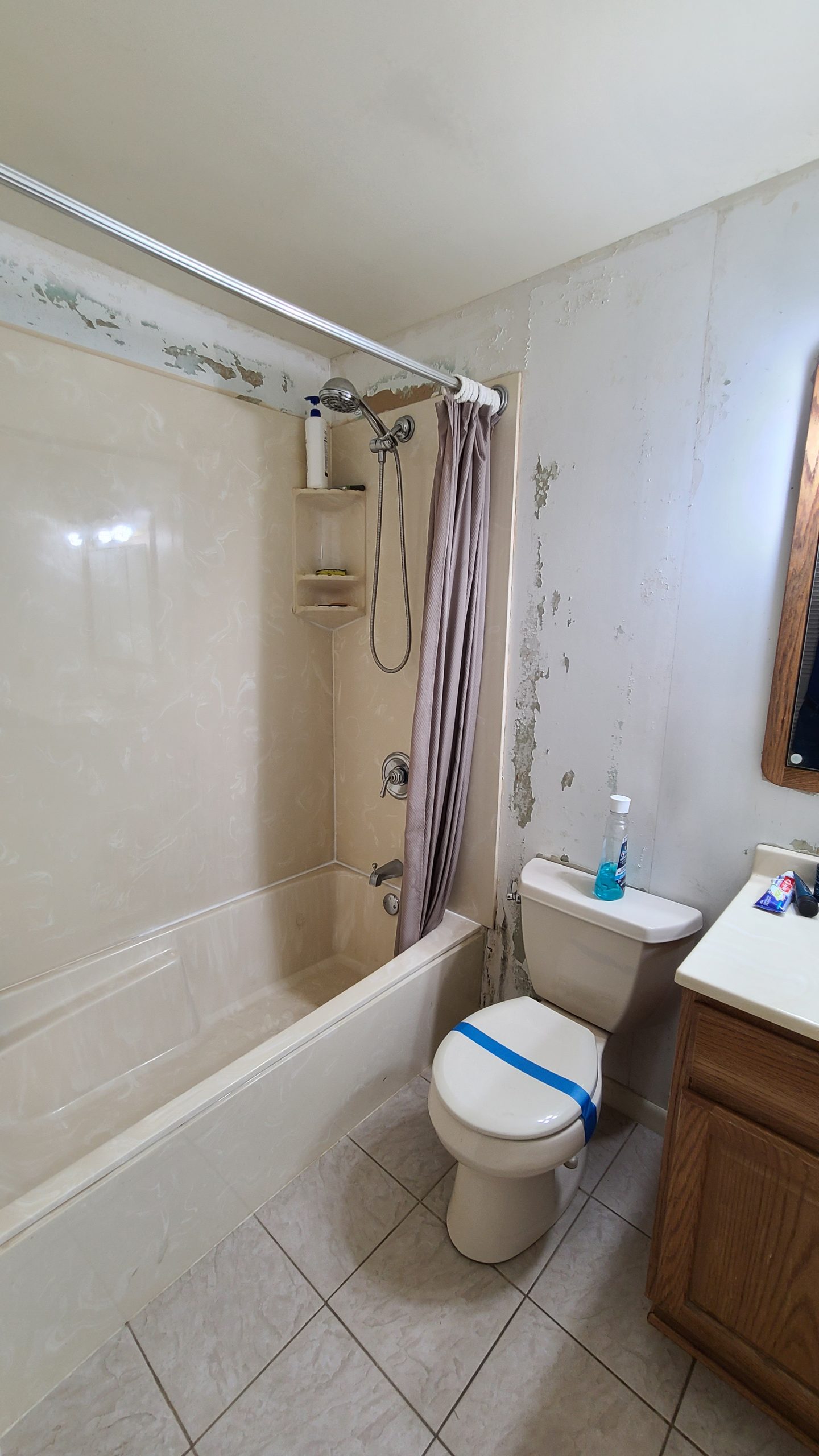 Before | Schaumburg, IL Bathroom Remodel