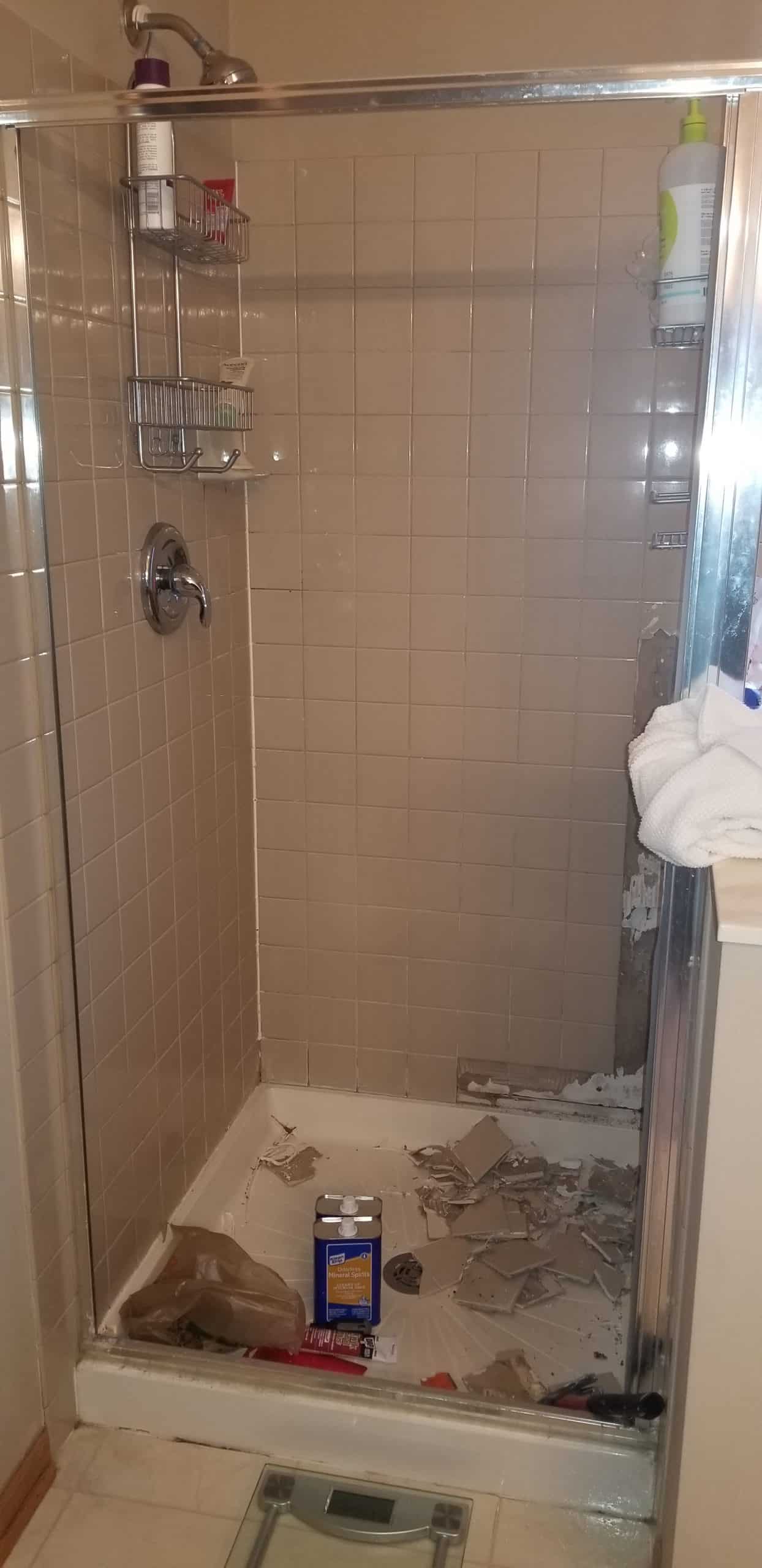 Before | Barlett, IL Standing Shower