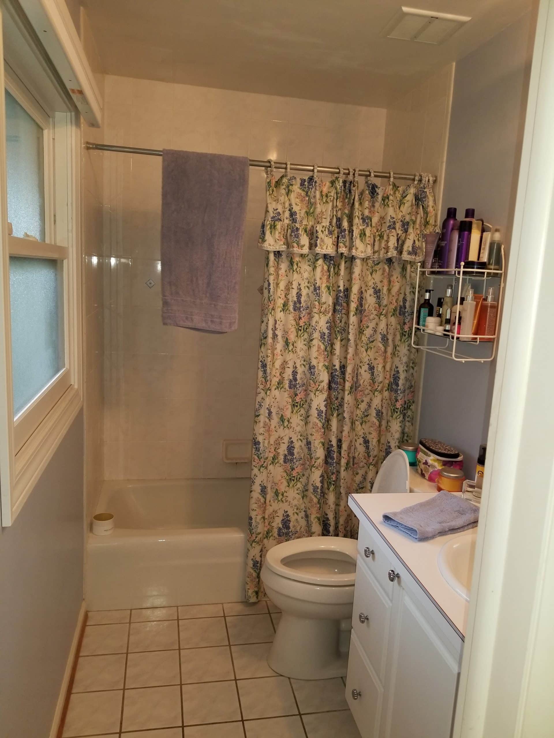 Before | Elk Grove Village Bathroom