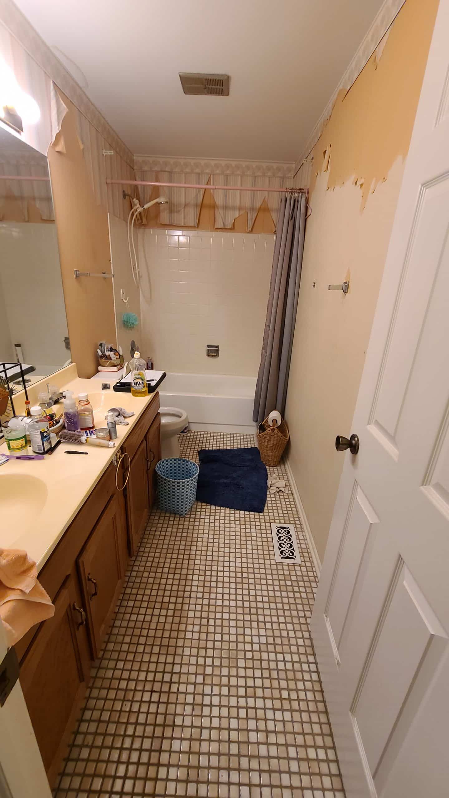 Before | Buffalo Grove, IL Bathroom Remodel