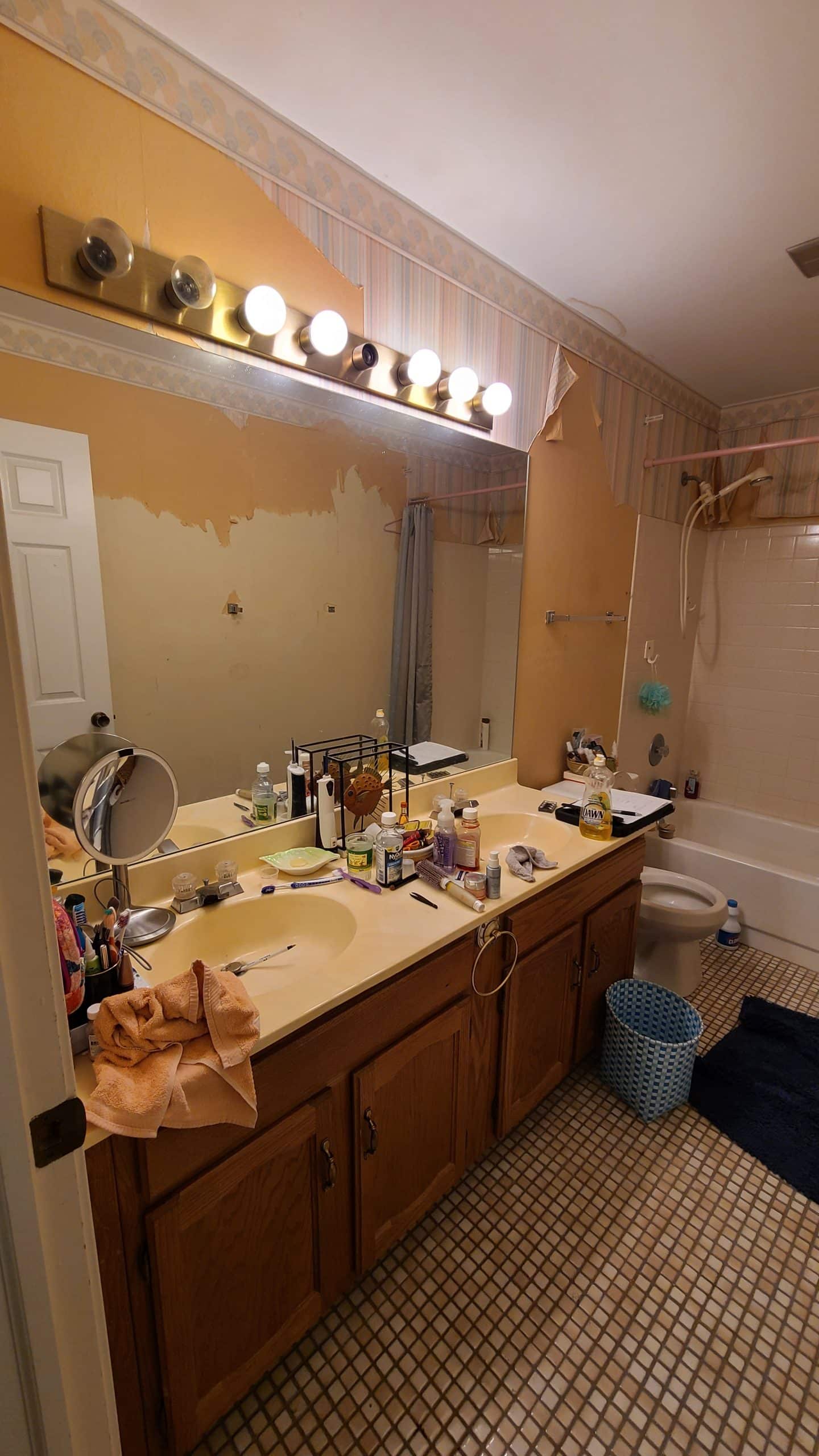 Before | Buffalo Grove, IL Bathroom Remodel