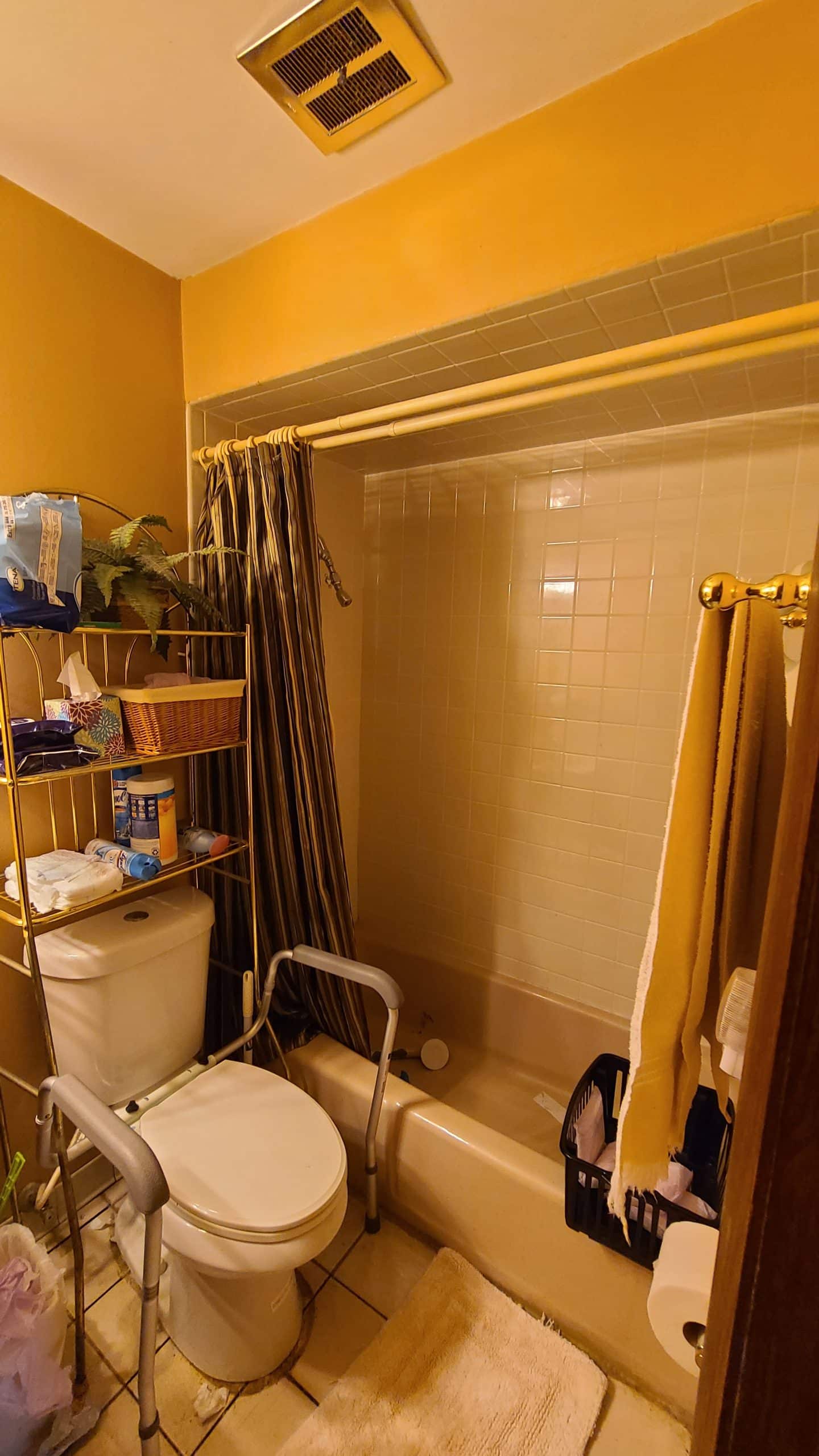 Before | Des Plaines Bathtub Before | Des Plaines Bathtub
