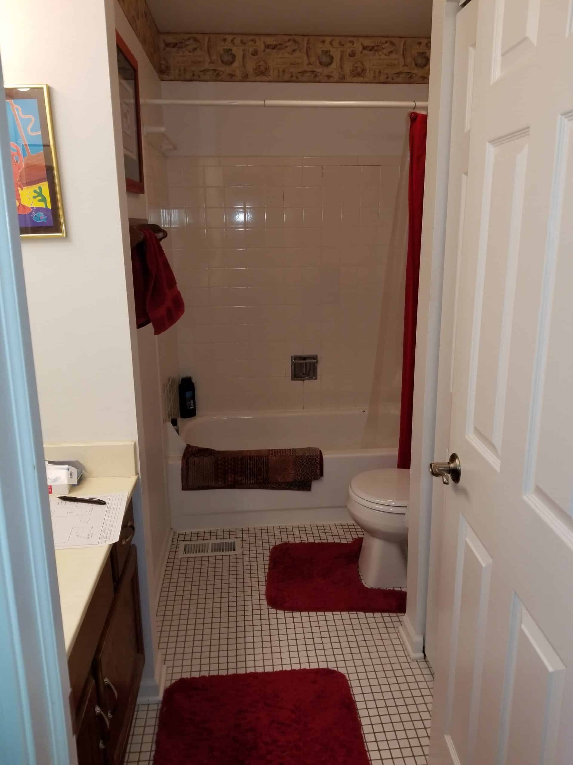 Before | Buffalo Grove, IL Bathroom