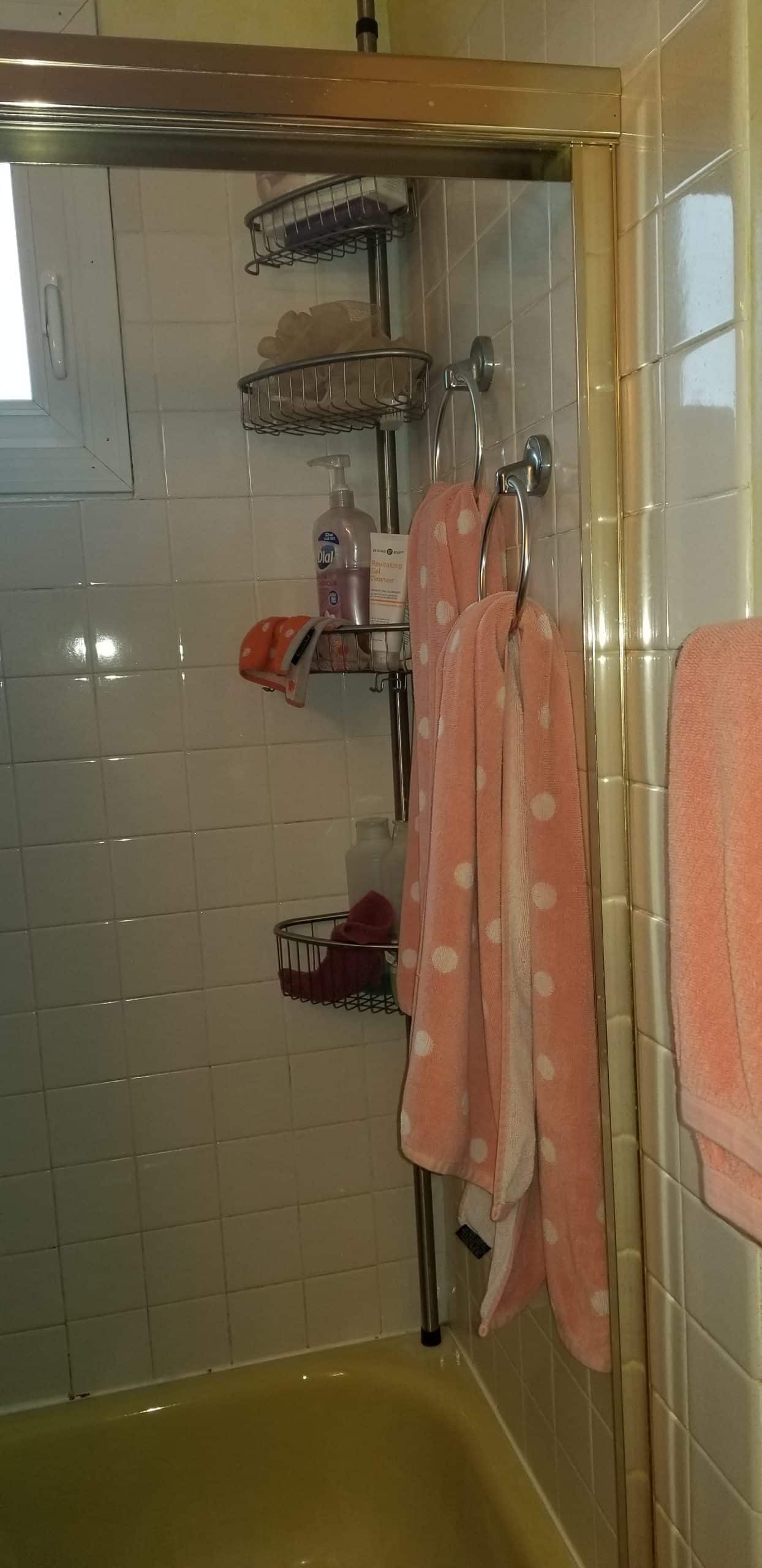 Before | Hanover Park, IL Acyclic Tub-to-Shower Conversion