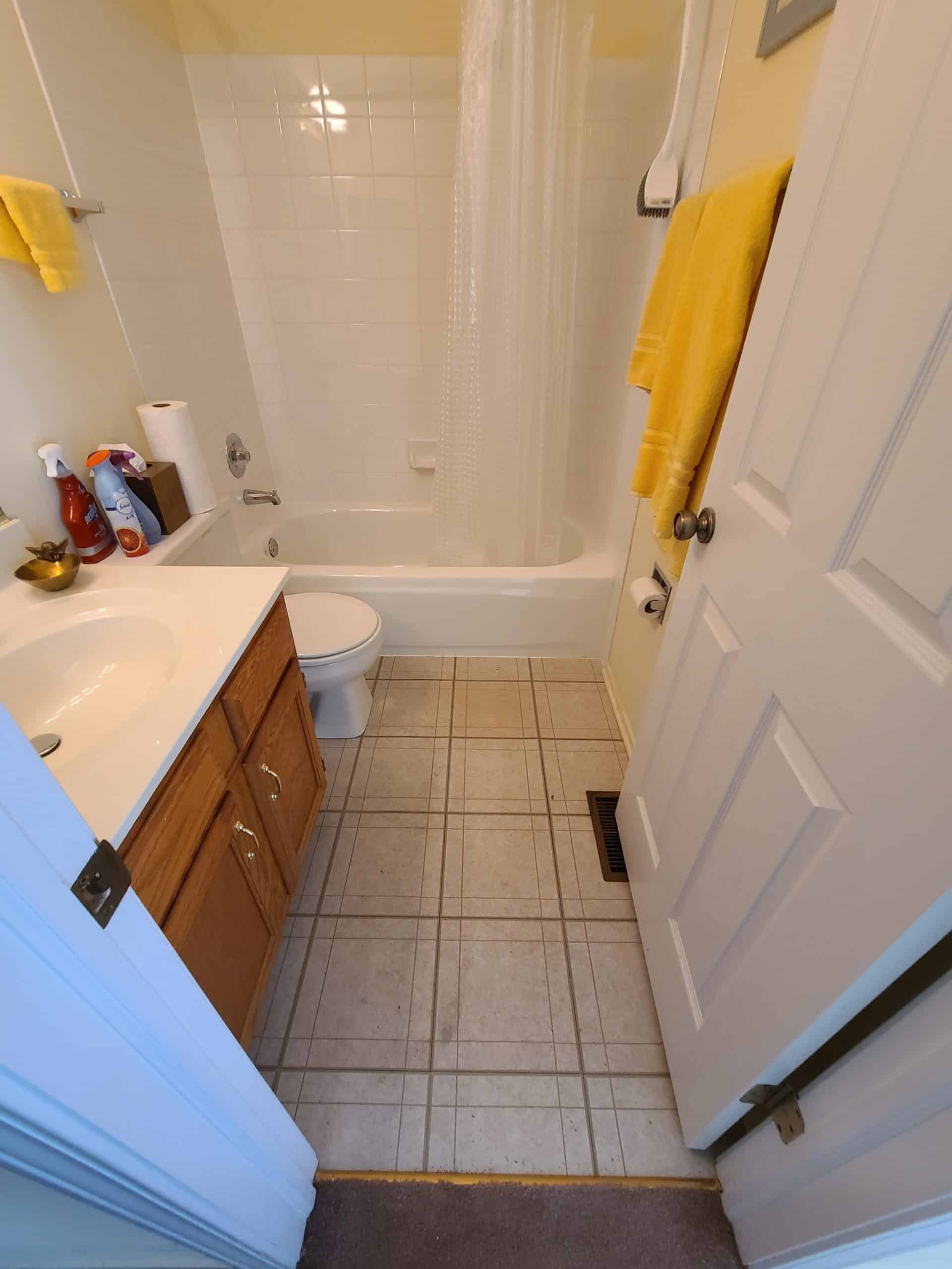 Before | Schaumburg, IL Bathroom Remodel