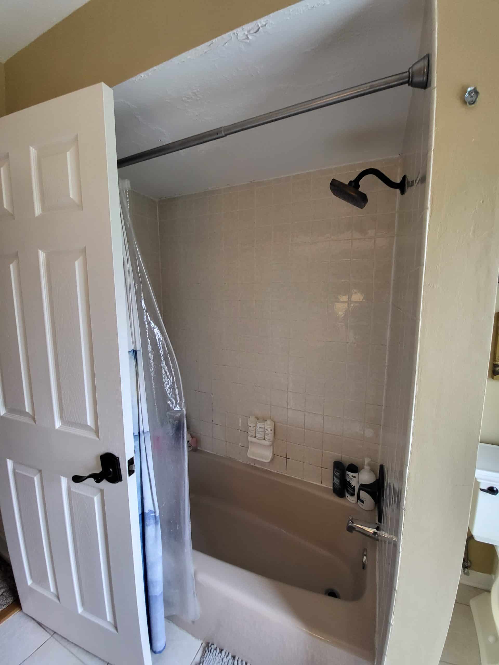 Before | Palatine Master Bathroom Remodel