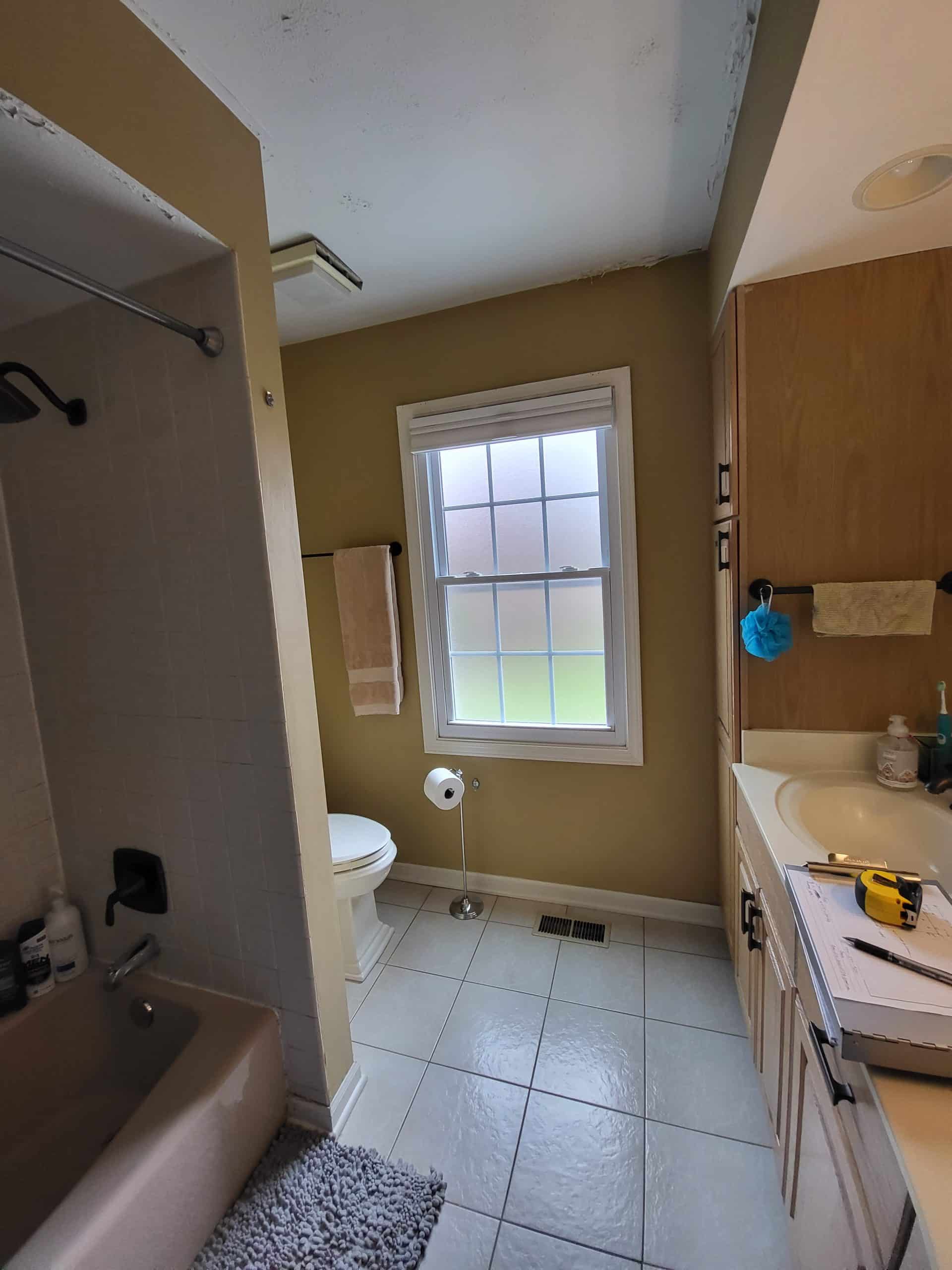 Before | Palatine Master Bathroom Remodel