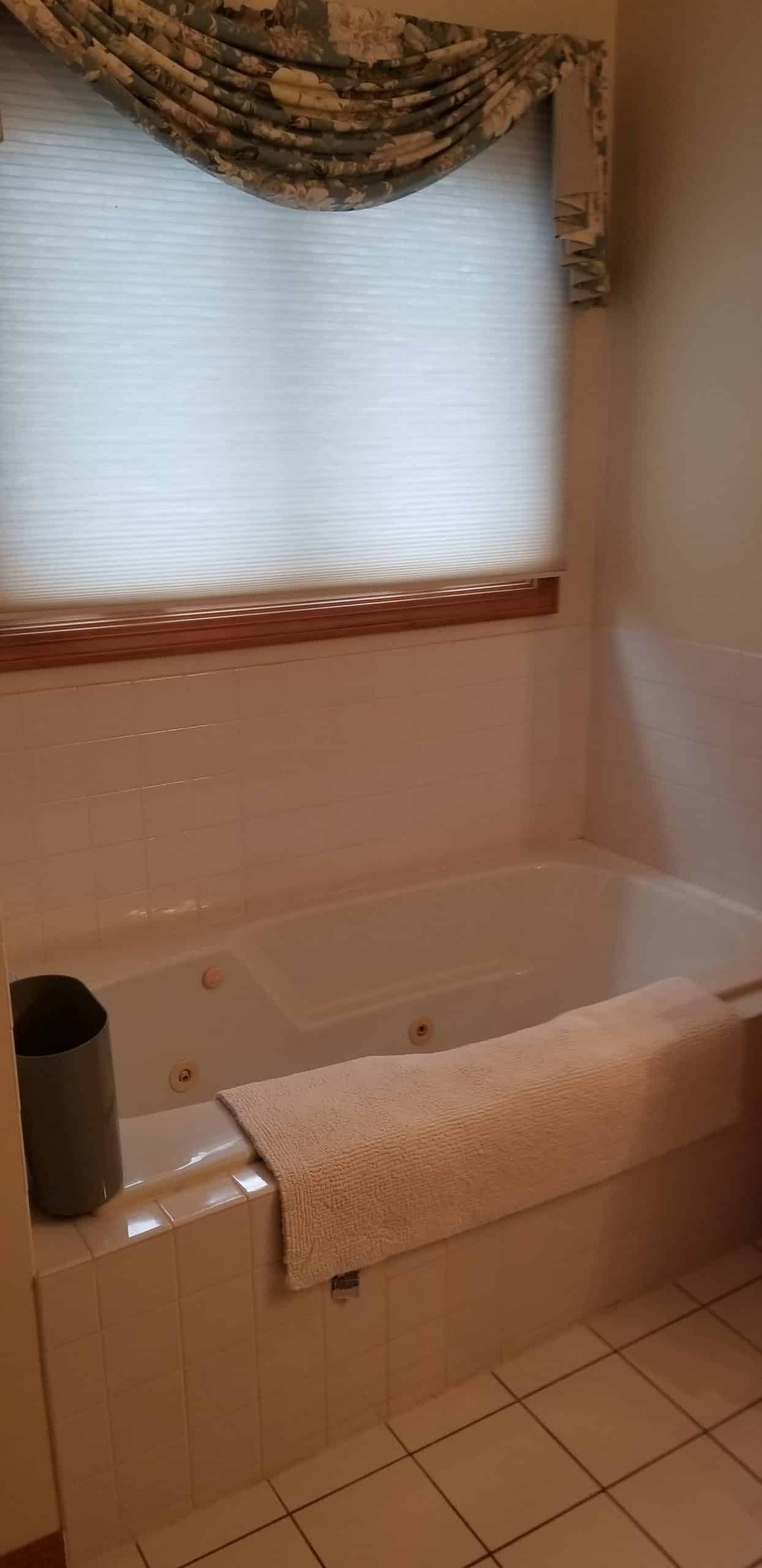 Before | Mount Prospect, IL Tub Before | Mount Prospect, IL Tub