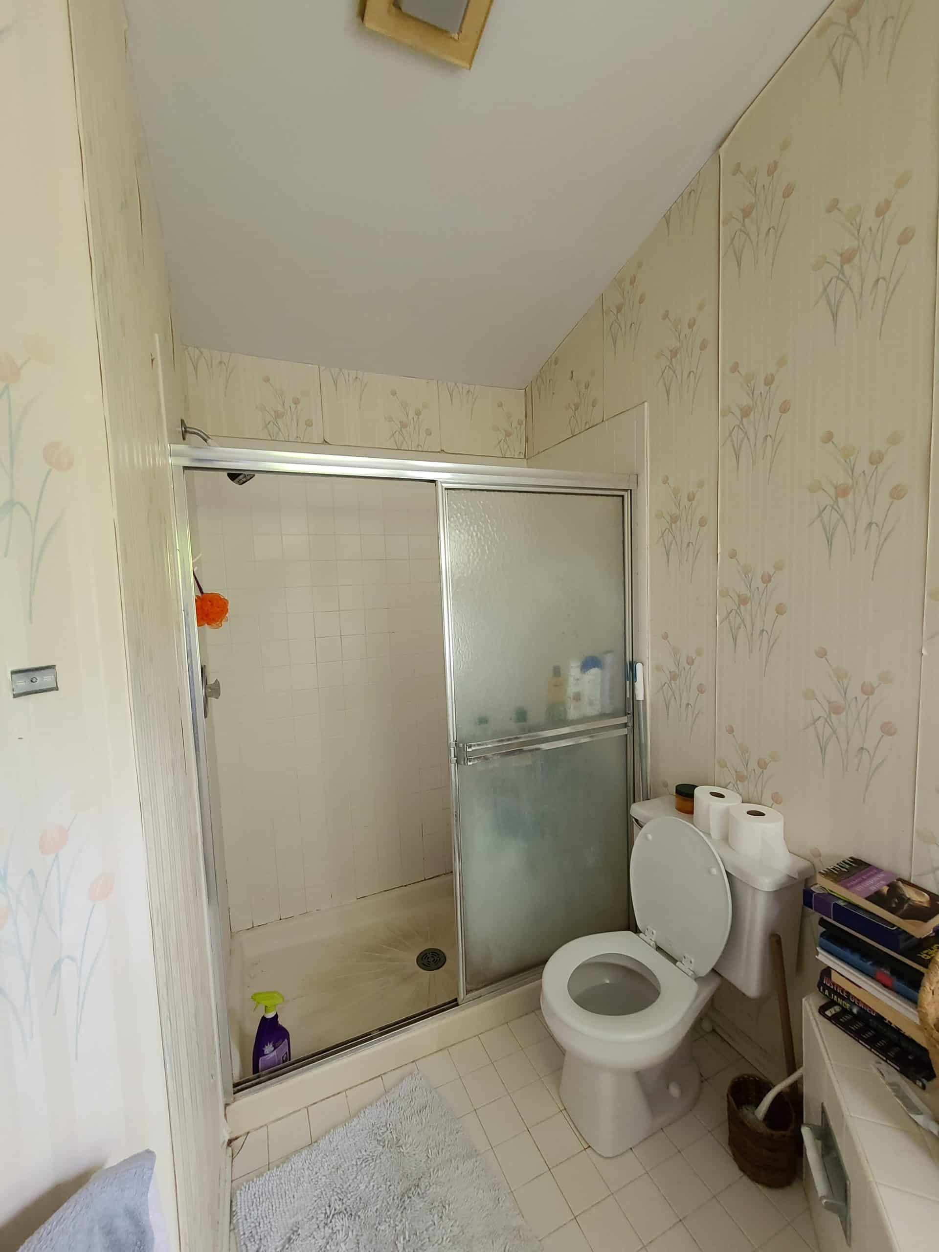 Before | B Buffalo Grove, IL Walk in Shower