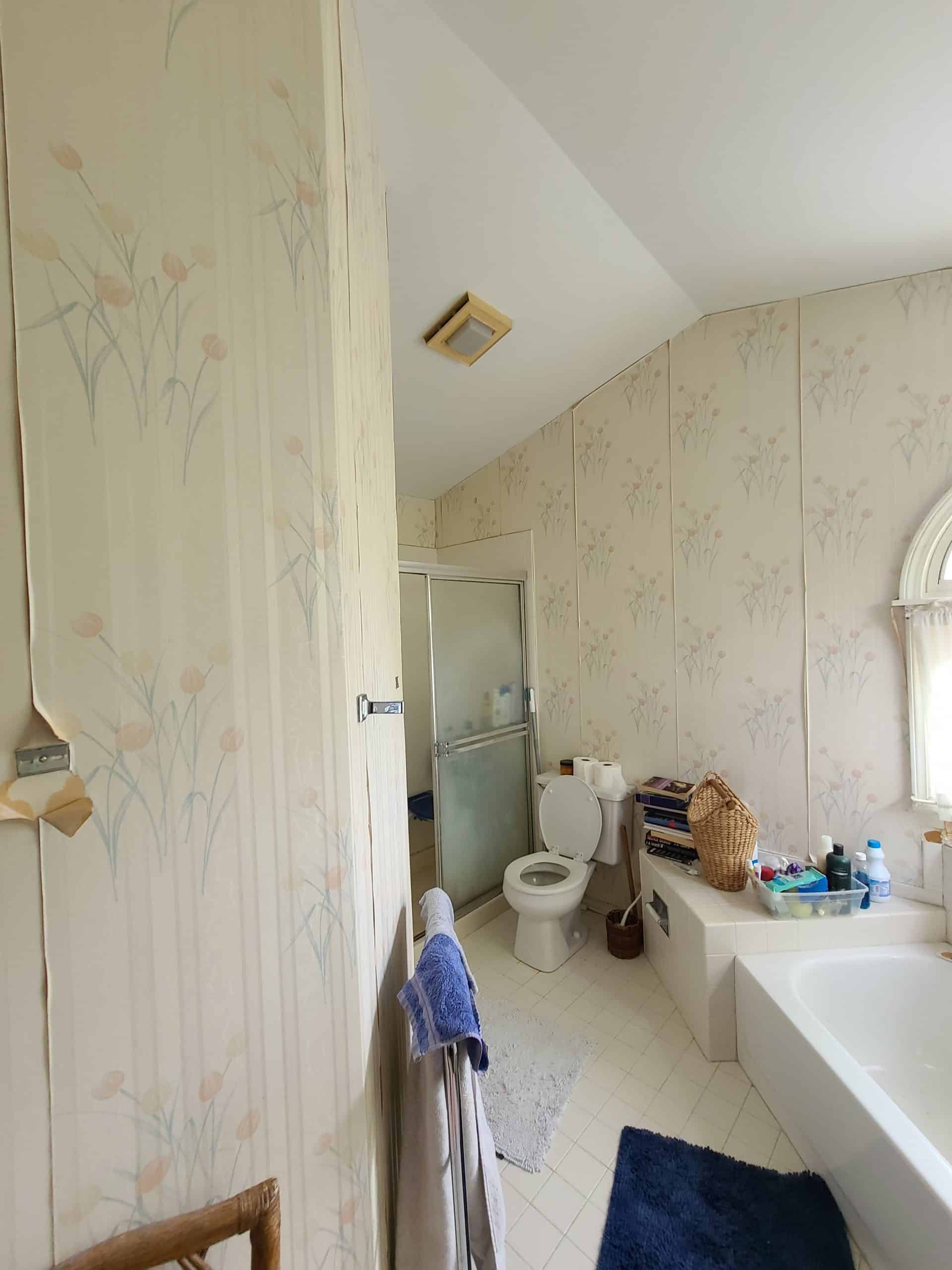 Before | Buffalo Grove, IL Bathroom Remodel