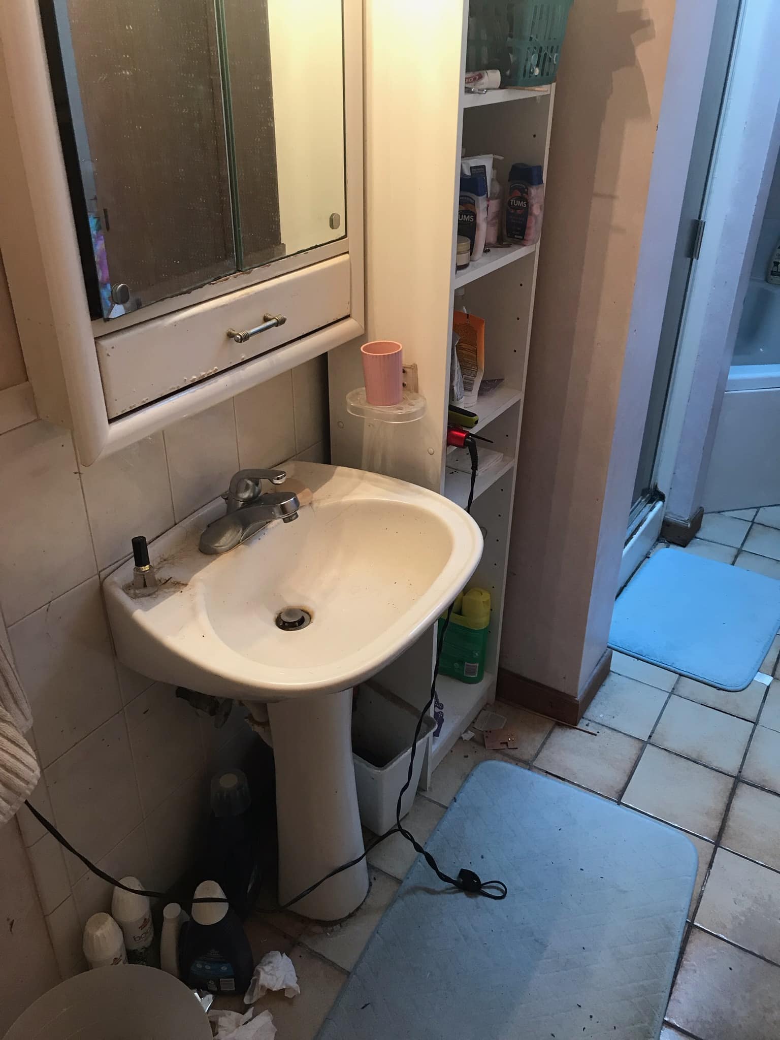 Before | Rolling Meadows, IL Bathroom Remodel