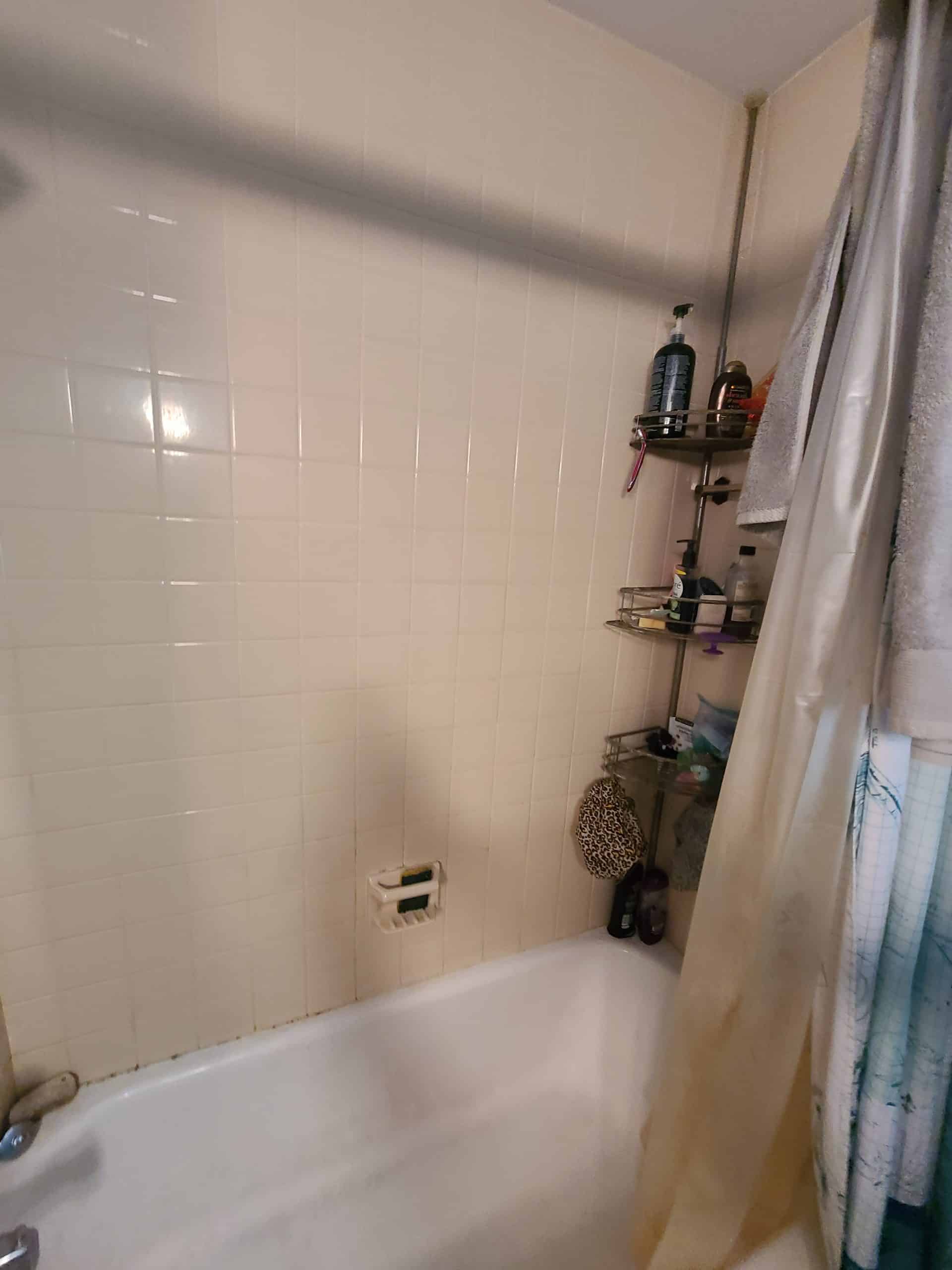Before | Bensenville, IL Bathroom Remodel