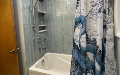 Bensenville, IL Full Bathroom Remodel 2021