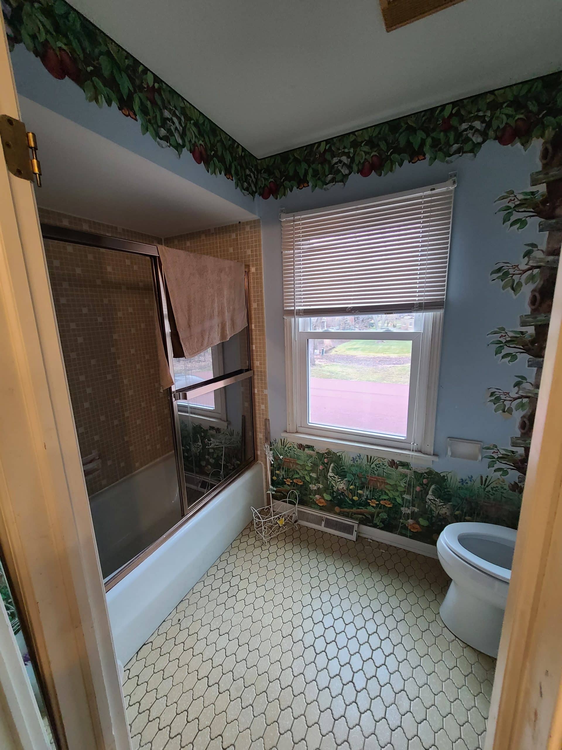 Before | Barrington, IL Full Bathroom Remodel