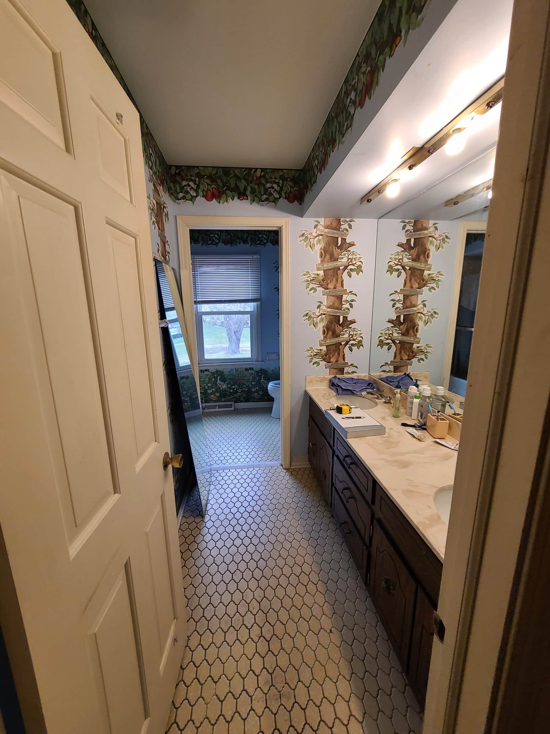 Before | Barrington, IL Full Bathroom Remodel