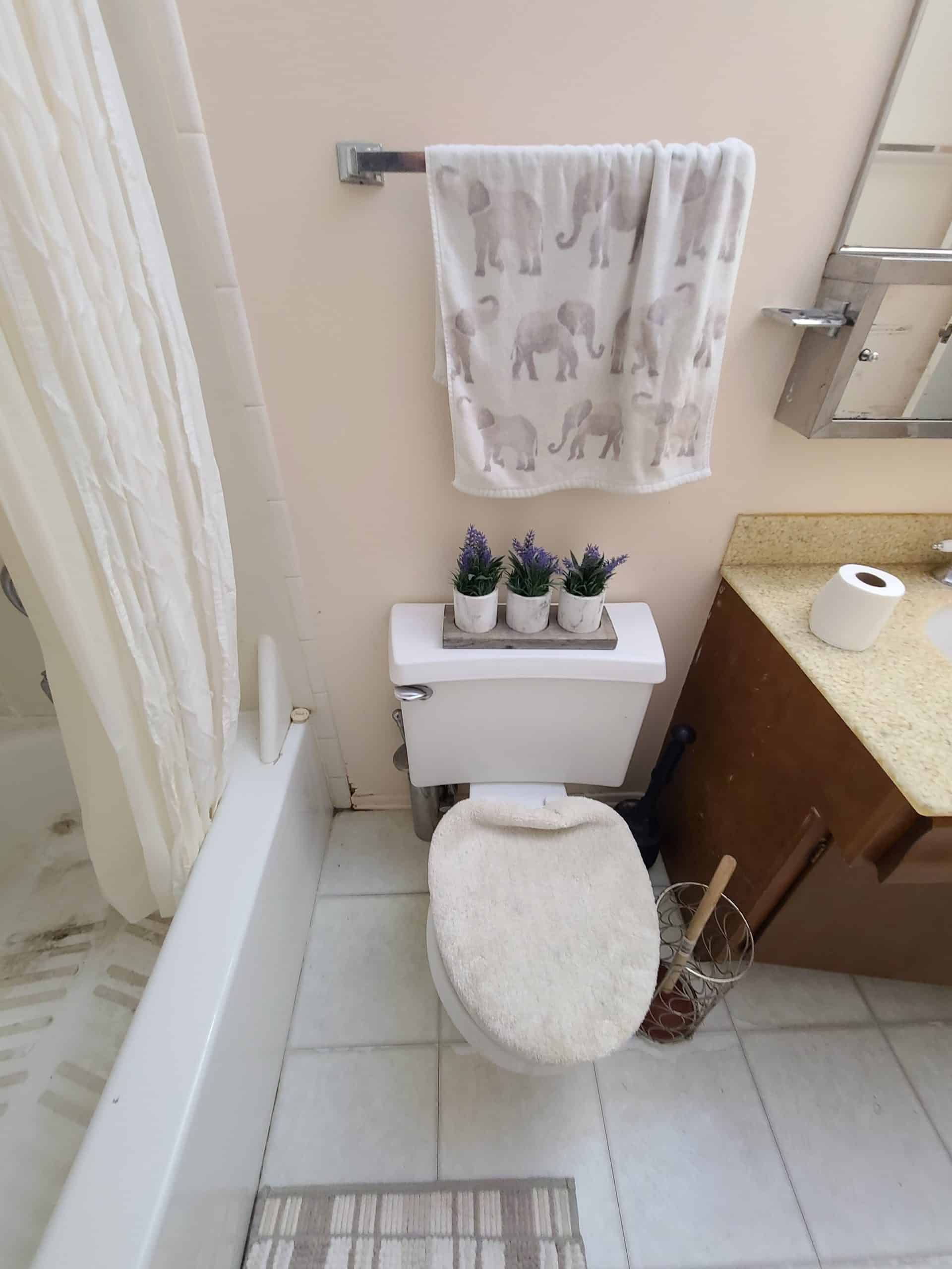 Before | Hoffman Estates, IL Small Bathroom Remodel