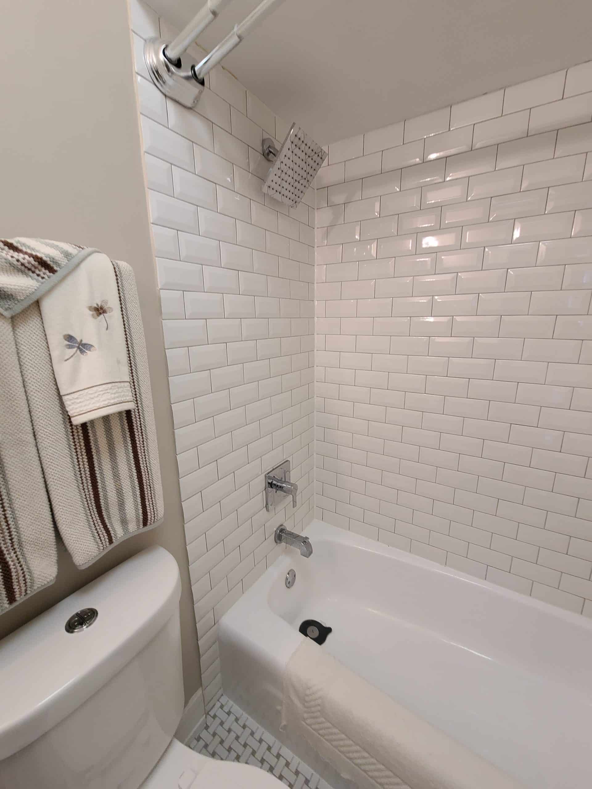 After | Schaumburg, IL Bathtub Shower Combo