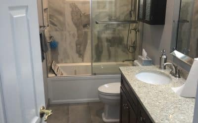 Hoffman Estates, IL Full Bathroom Remodel 2020