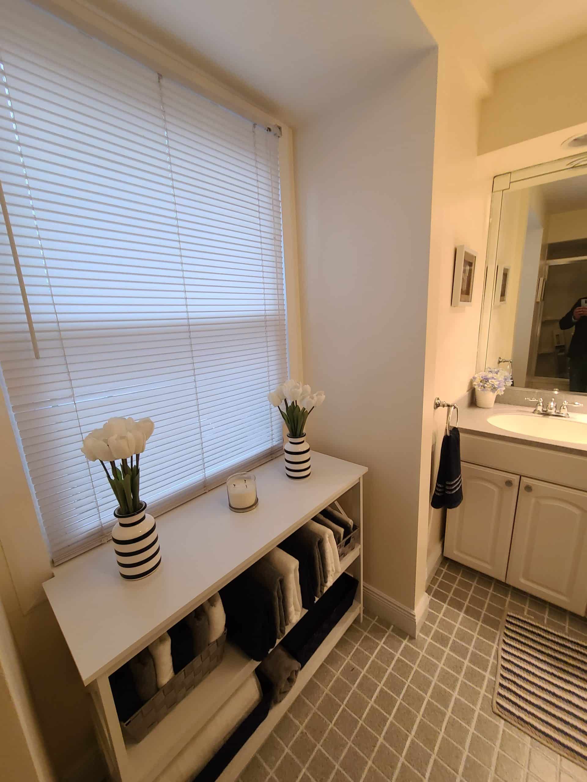 Before | Mount Prospect, IL Small Bathroom Remodel