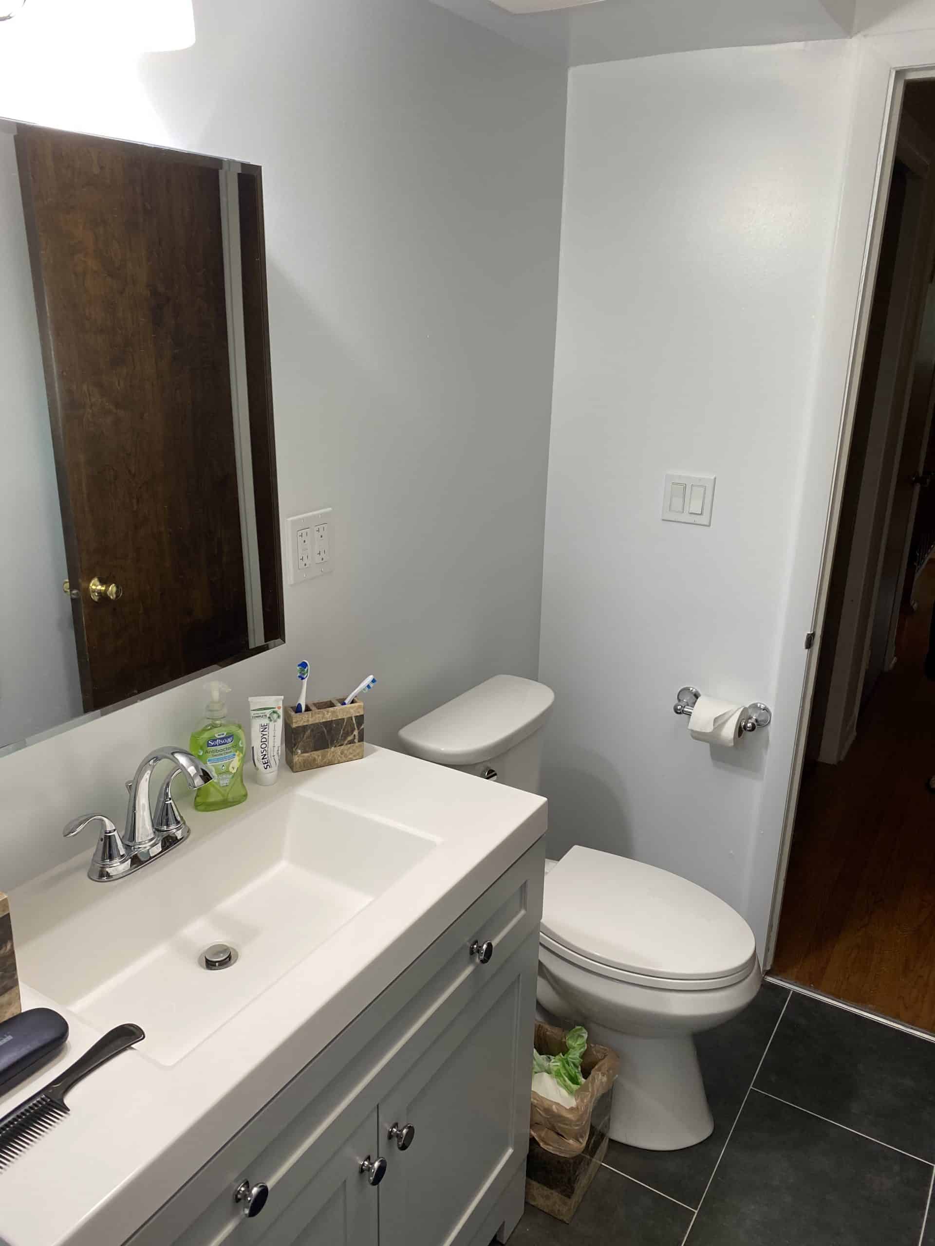 Before | Arlington Heights, IL Small Bathroom Renovation