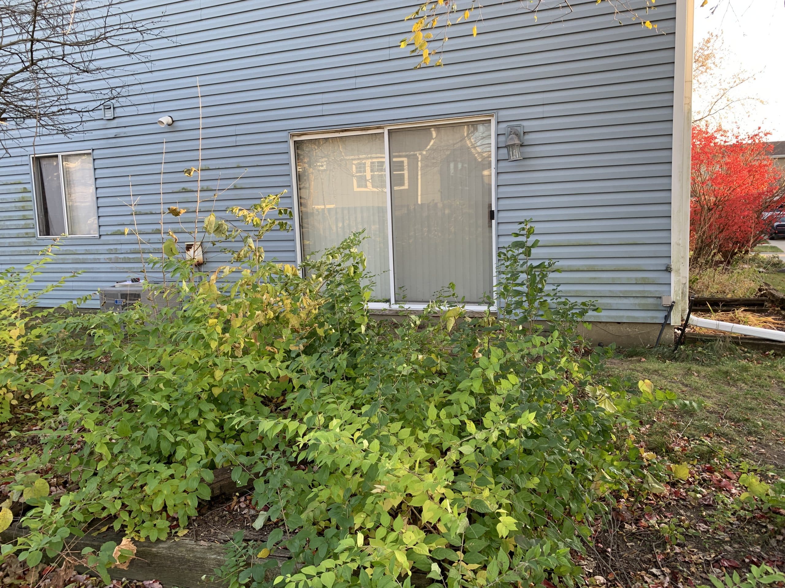Before | Woodridge, IL Three Season Sunroom