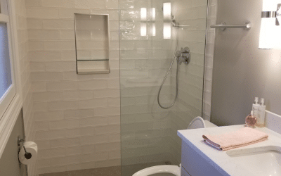 Elk Grove Village, IL Barrier Free Shower 2018