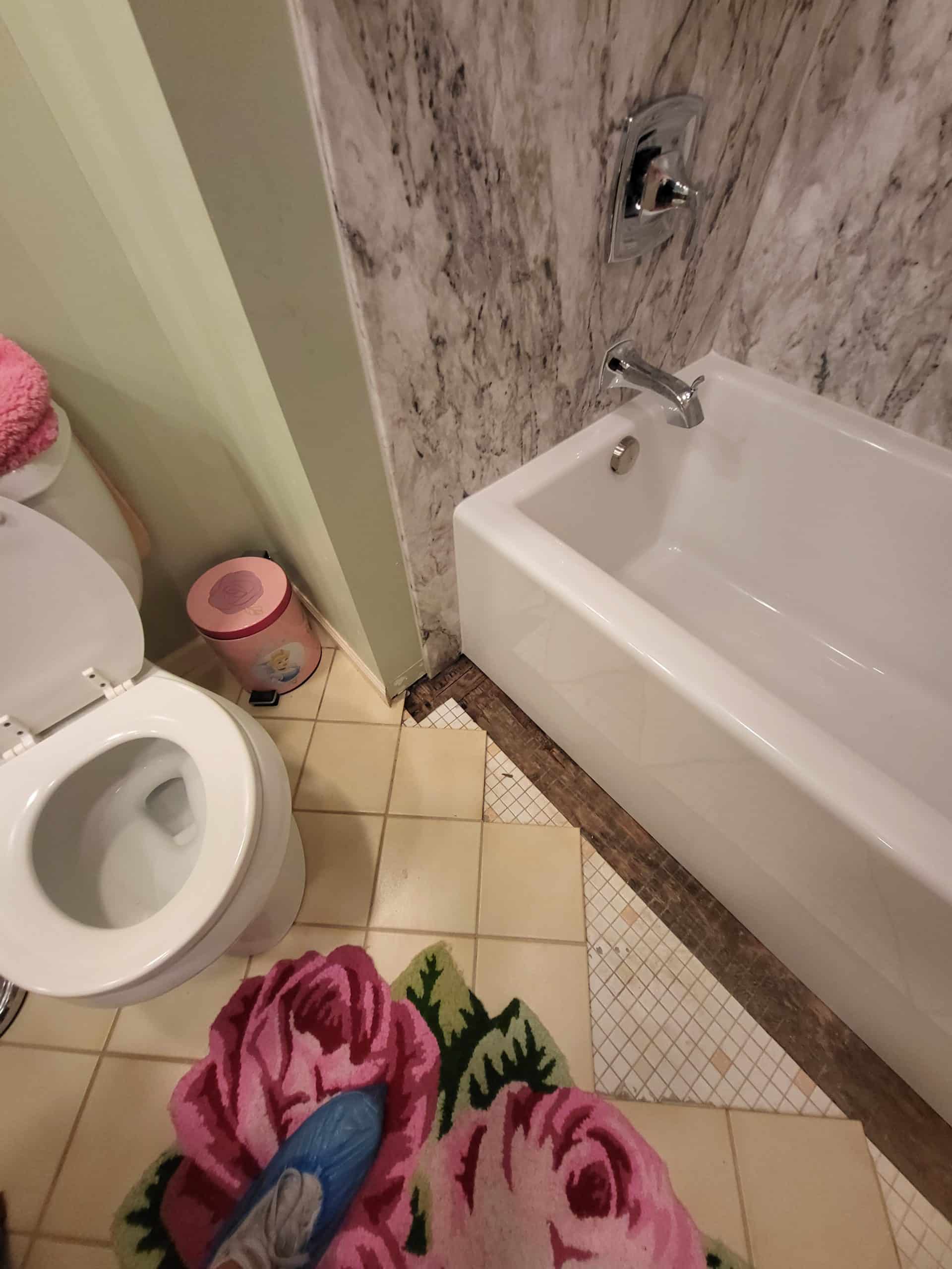 Before | Arlington Heights, IL Small Bathroom Renovation