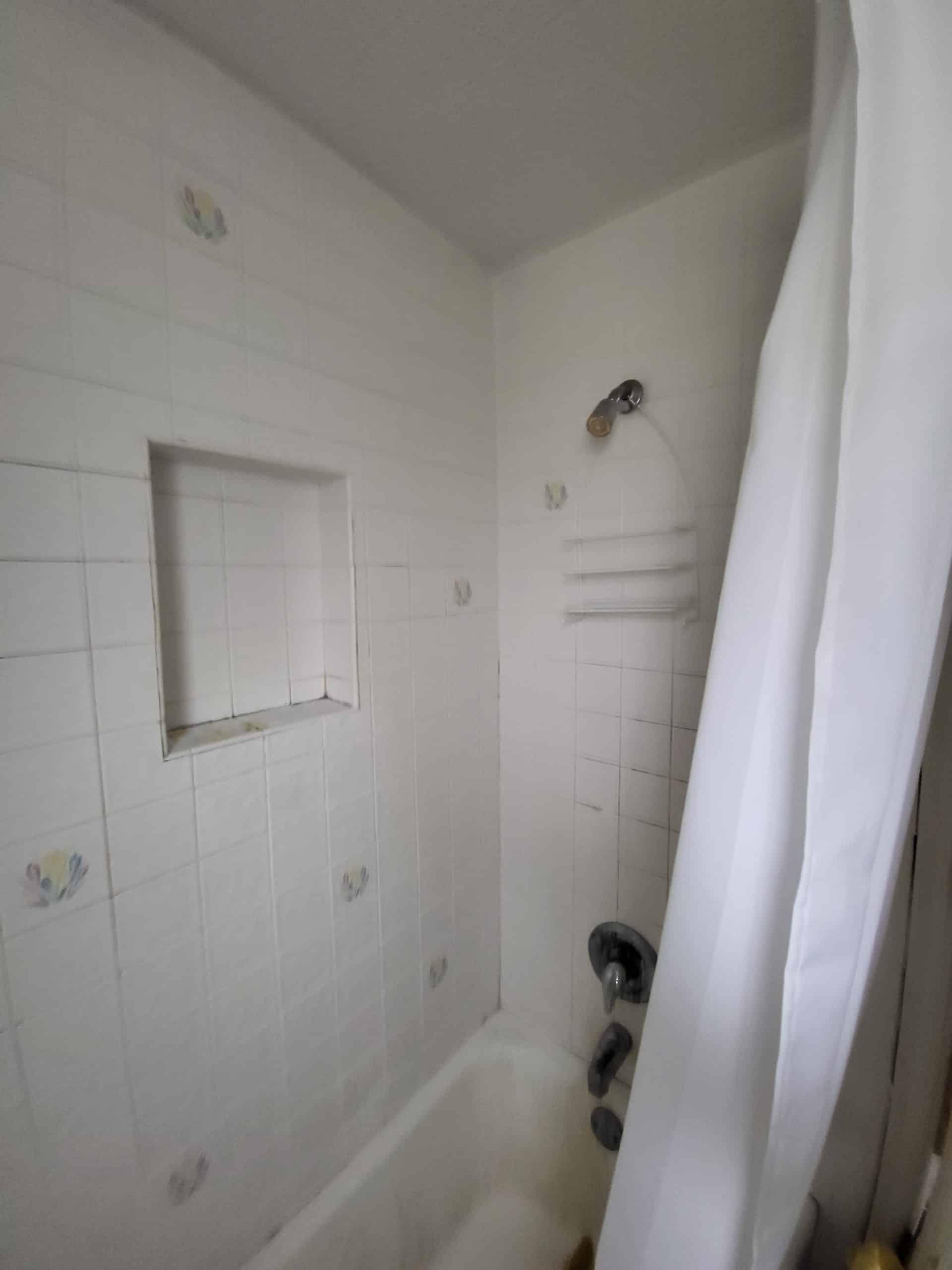 Before| Arlington Heights Gutted Bathroom Remodel
