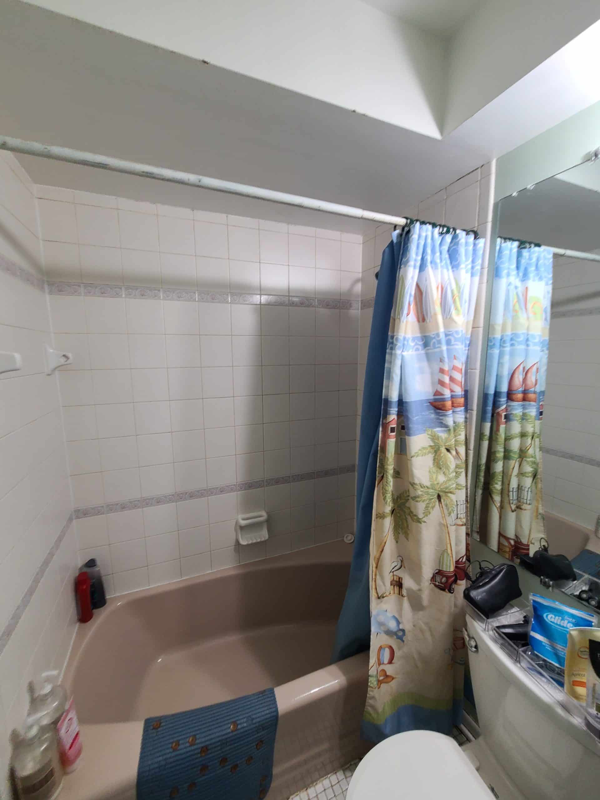 Before | Mount Prospect, IL Basement Bathroom Remodel