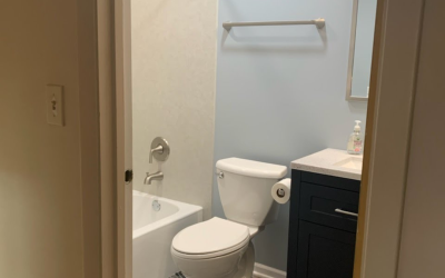 Mount Prospect, IL Basement Bathroom Remodel 2022