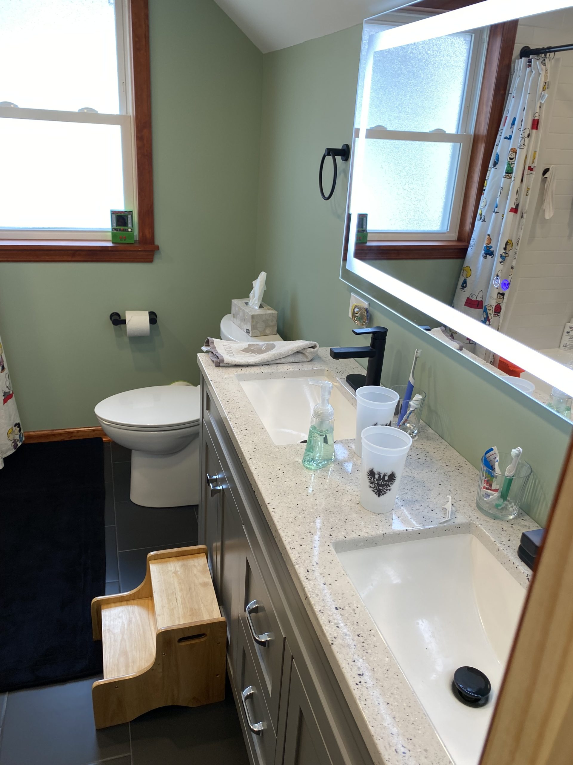 After | Skokie, IL Small Bathroom Remodel