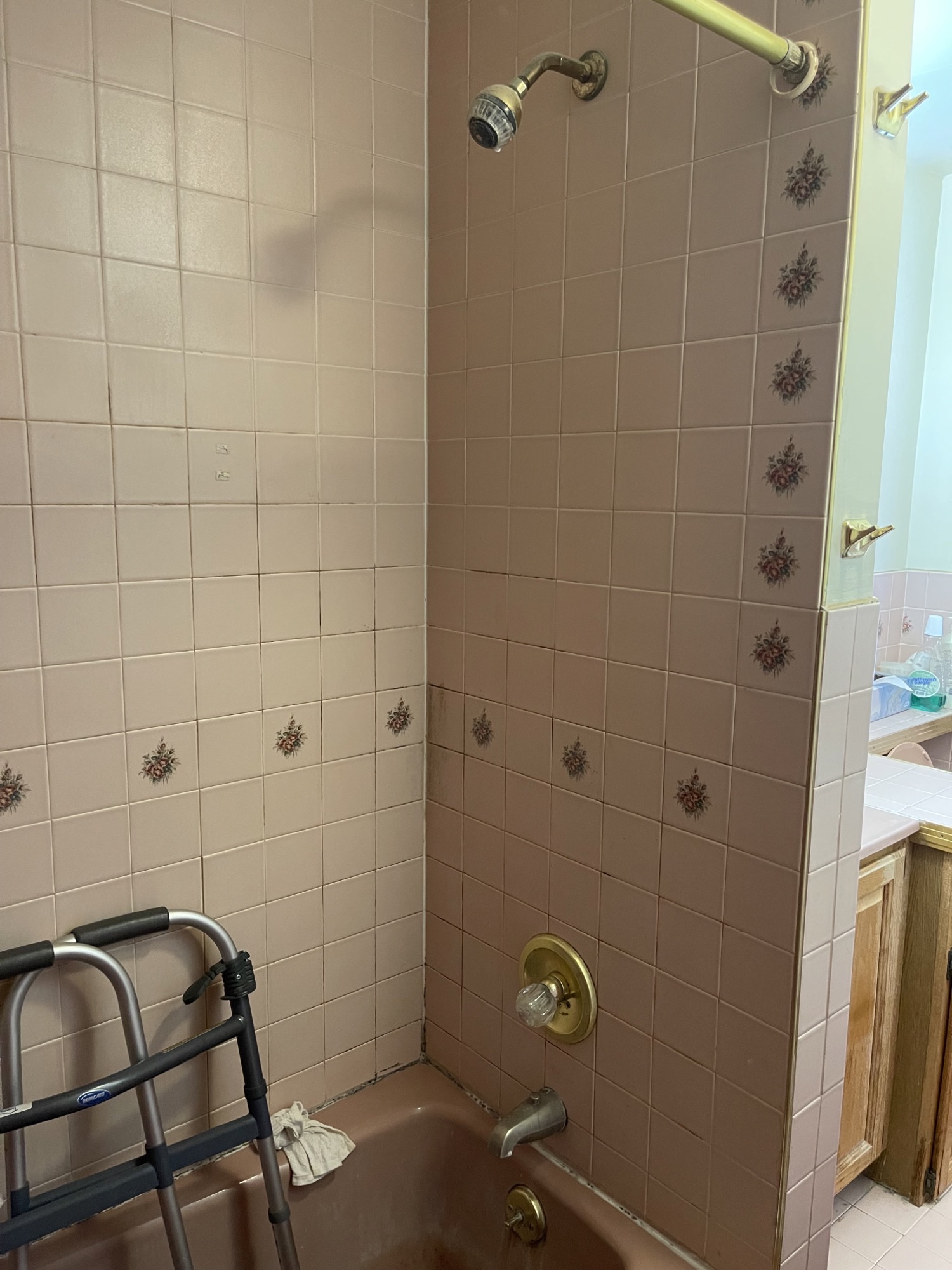 Before | Arlington Heights, IL Walk-In Shower Remodel