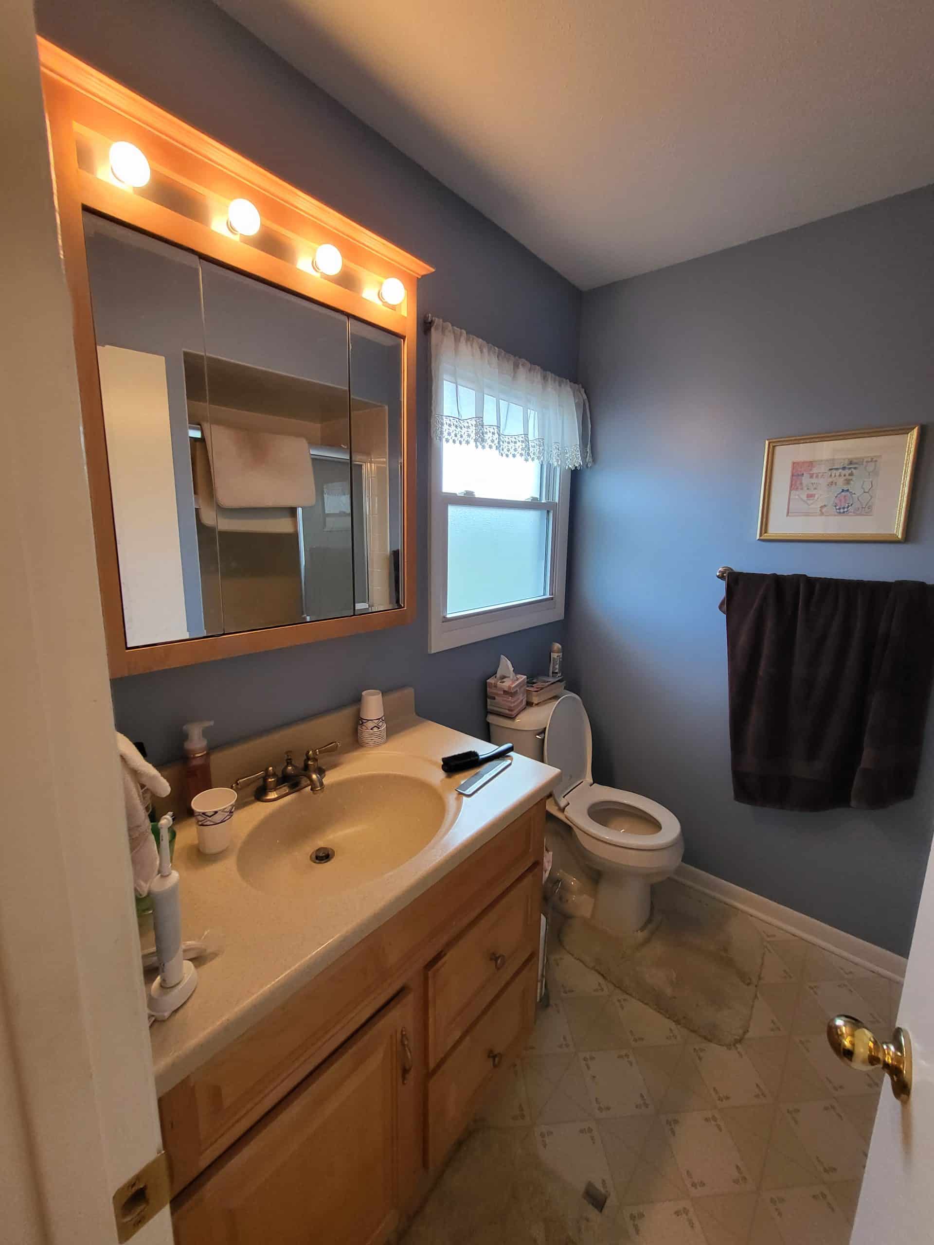 Before | Elk Grove Village, IL Small Bathroom Remodel