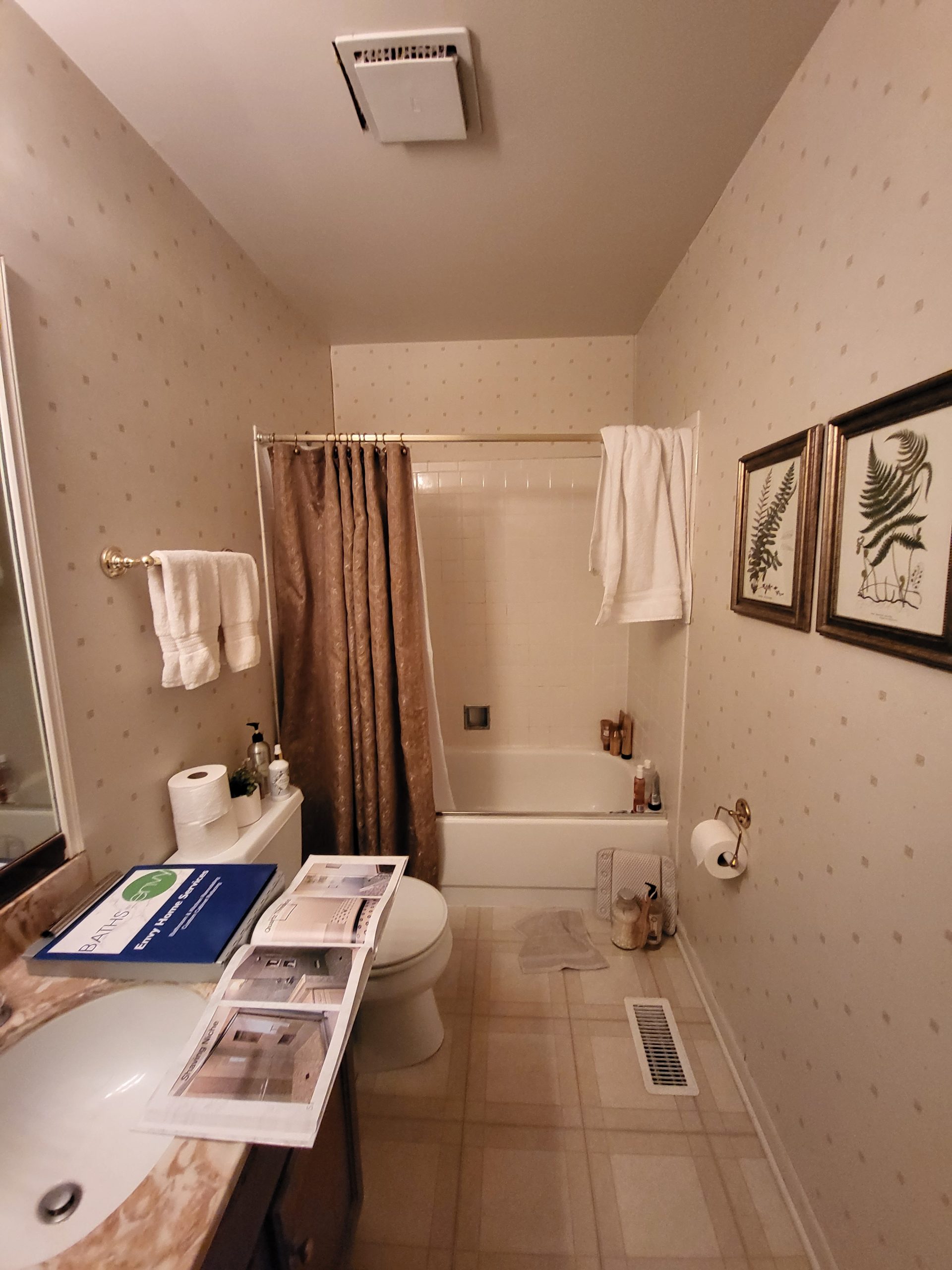 Before | Rolling Meadows, IL Small Bathroom Remodel