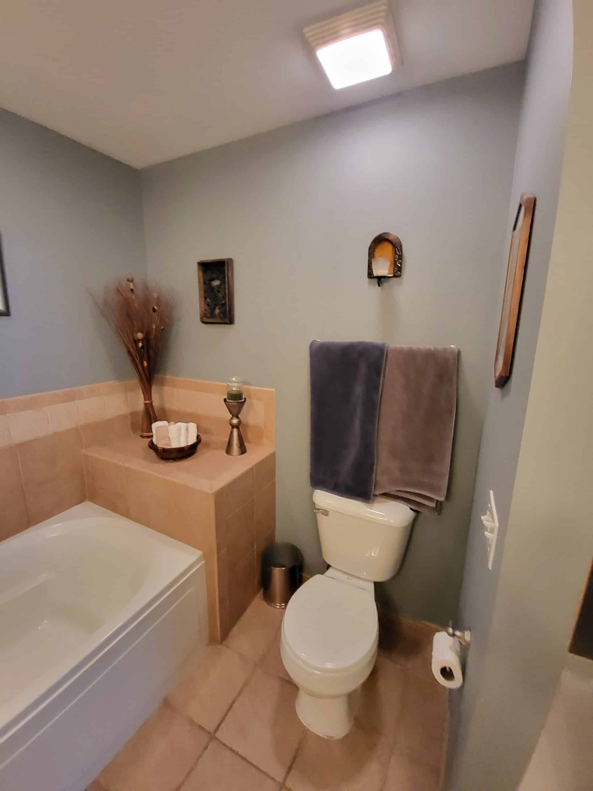 Before | Mount Prospect, IL Condo Bathroom Remodel