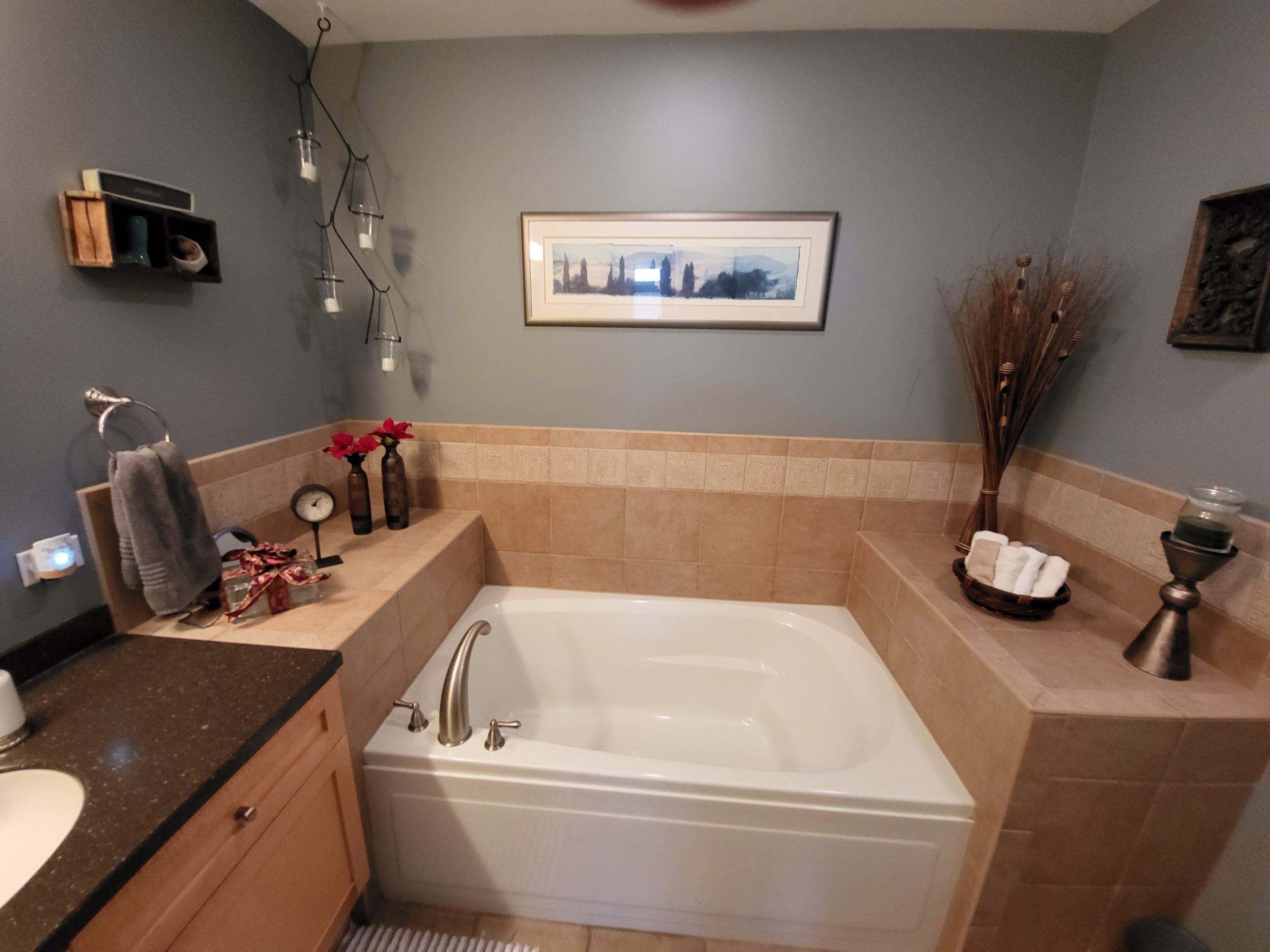 Before | Mount Prospect, IL Condo Bathroom Remodel