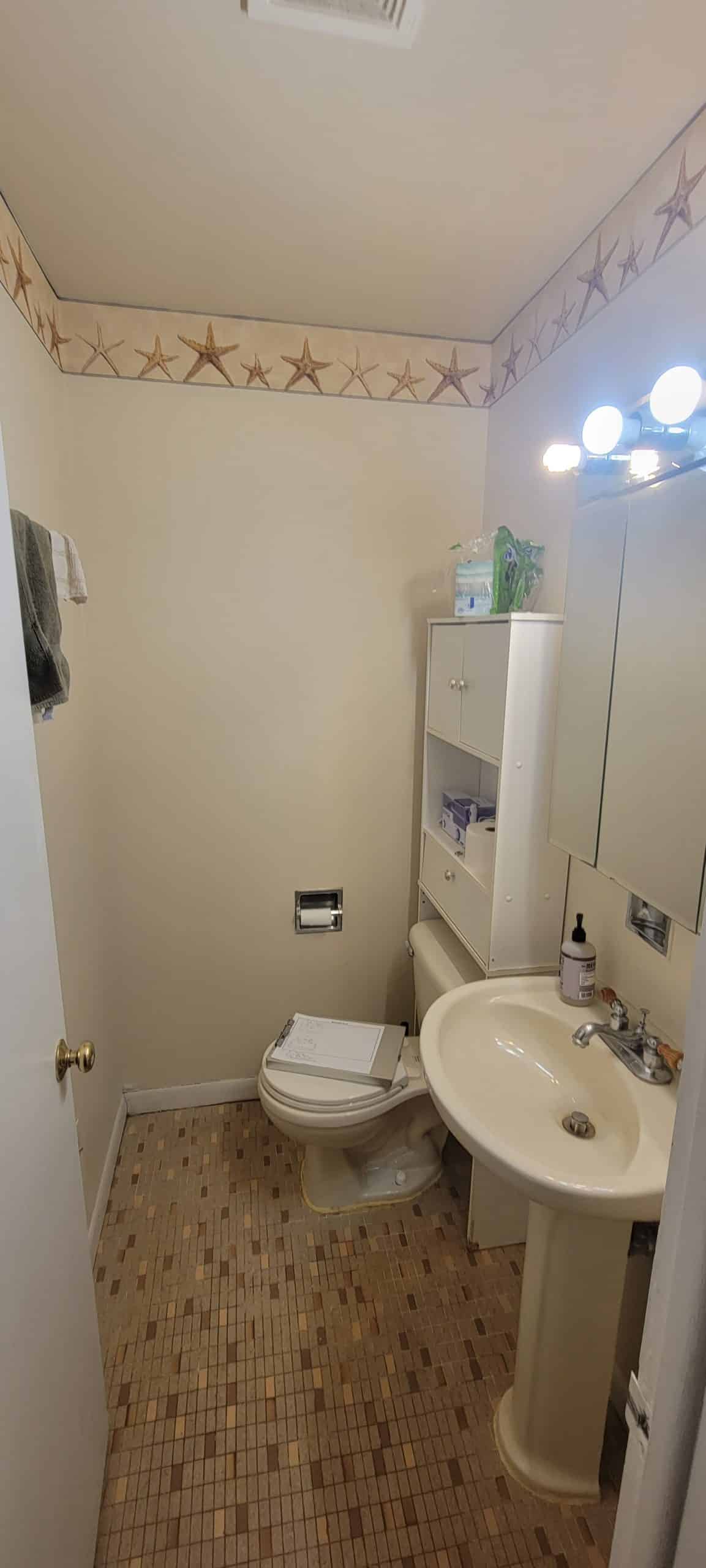 Before | Des Plaines, IL Small Bathroom Remodel