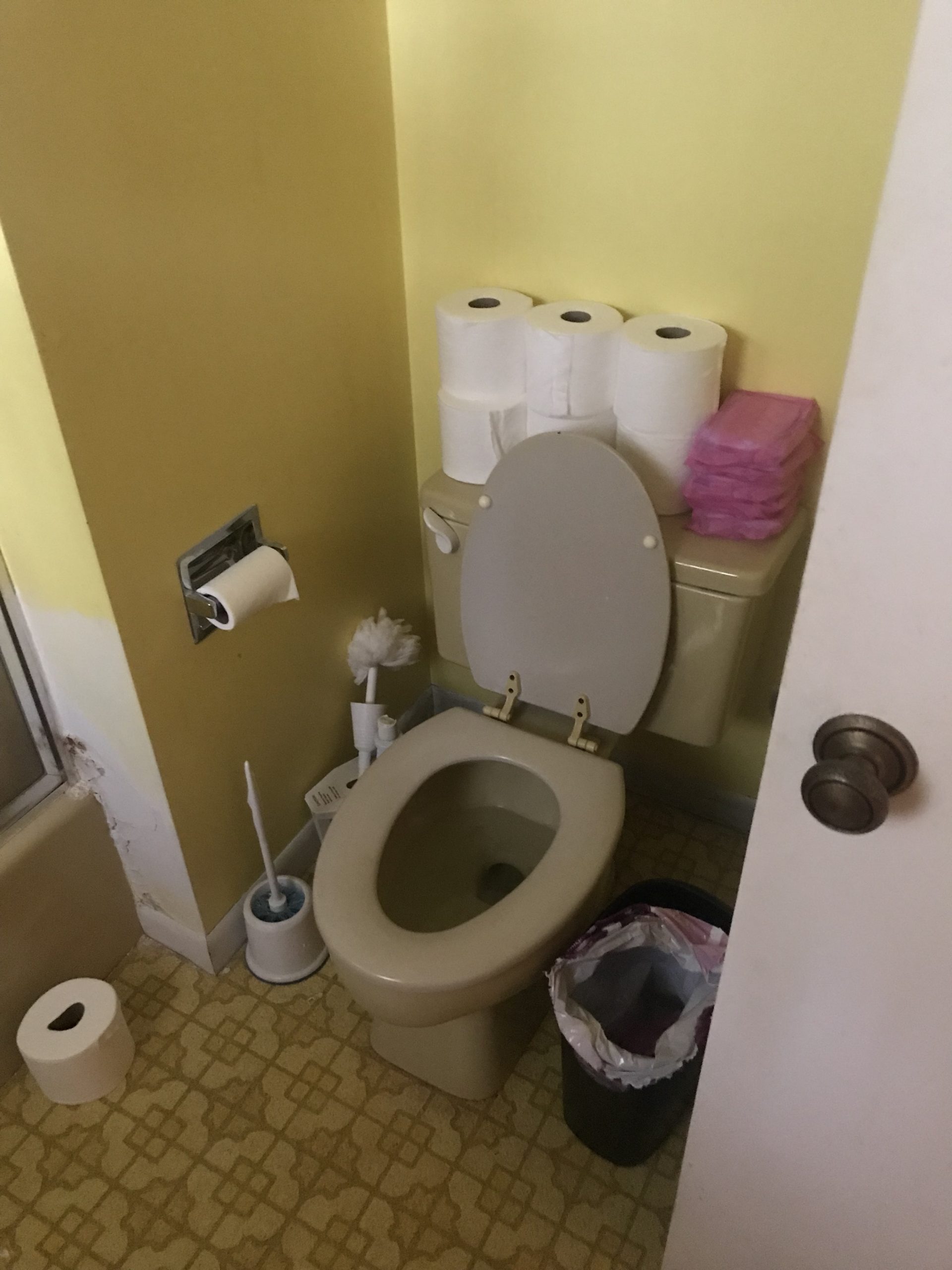 Before | St. Charles, IL Bathroom Remodel