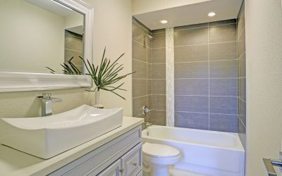 Pros and Cons of the Shower-Tub Combo