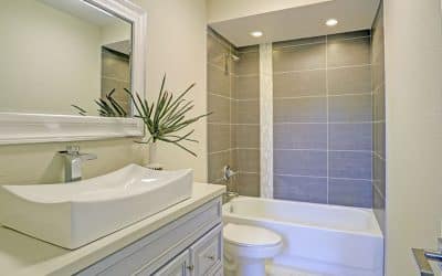 Pros and Cons of the Shower-Tub Combo