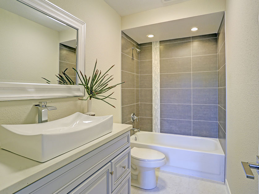 Pros and Cons of the Shower-Tub Combo