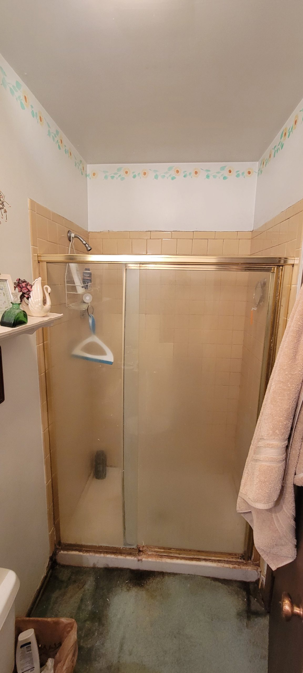 Before | Naperville, IL Shower Remodel