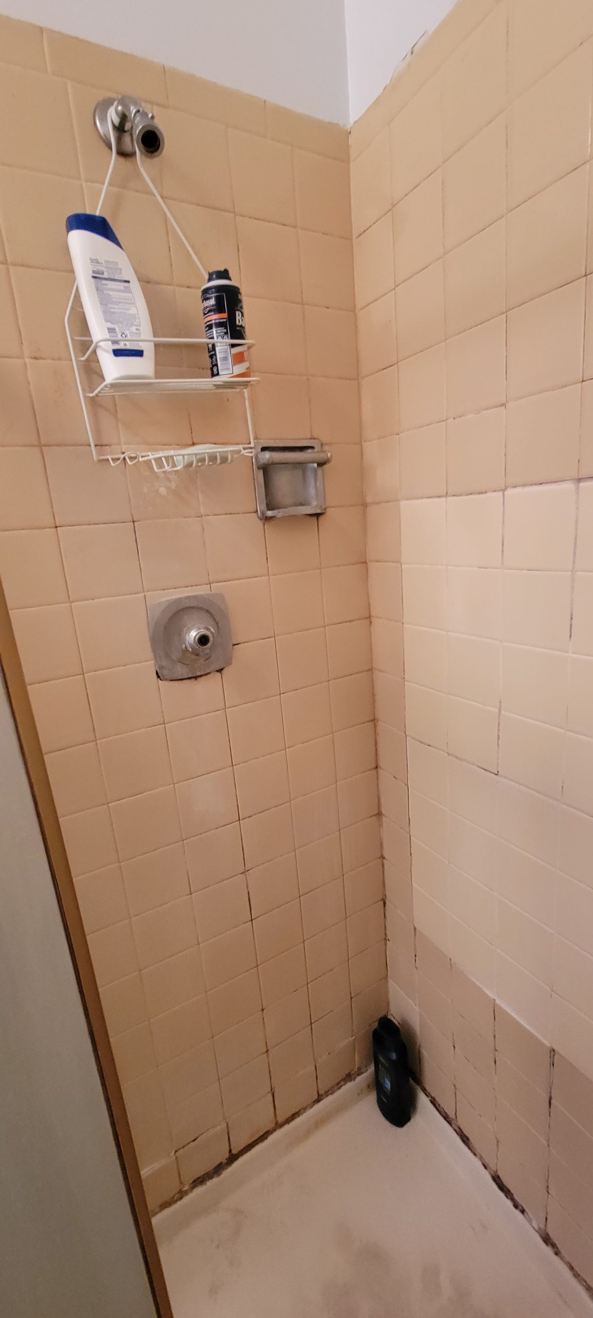 Before | Naperville, IL Shower Remodel